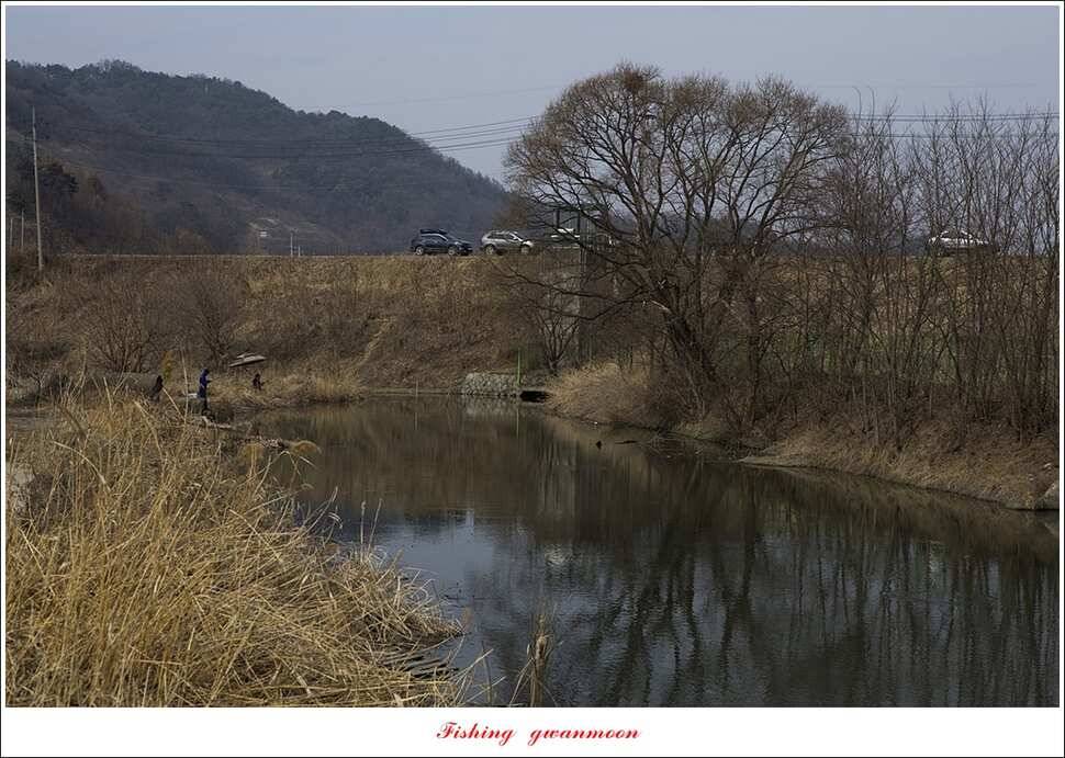 화곡지 사짜 및 마릿수 월척 칠성지 조황 (조황조행기 - 특파원조황)