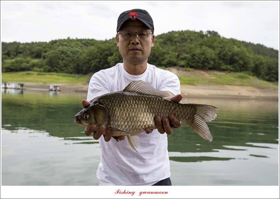 병호 45cm실리곡신리노지 월척 조황 (조황조행기 - 특파원조황)