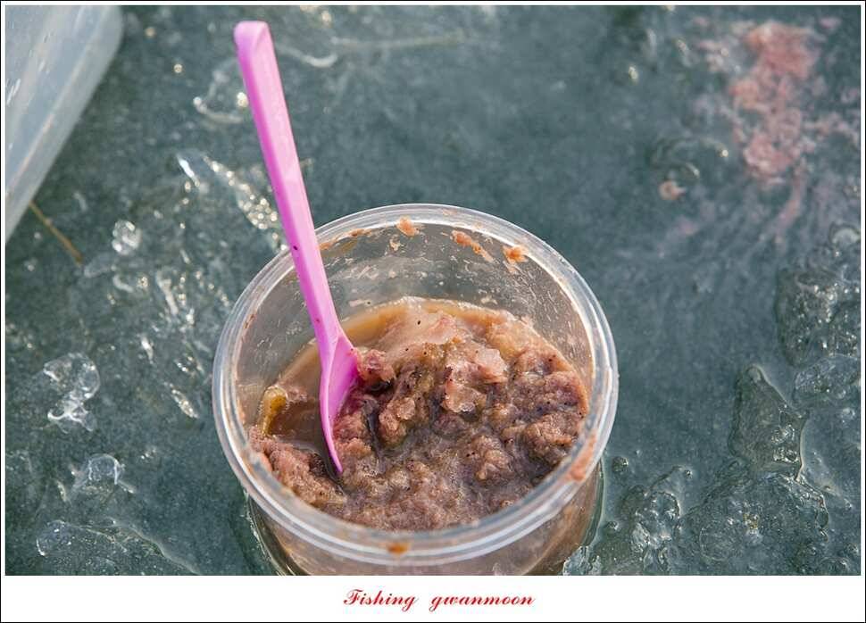 충주권 빙어 낚시 (조황조행기 - 특파원조황)