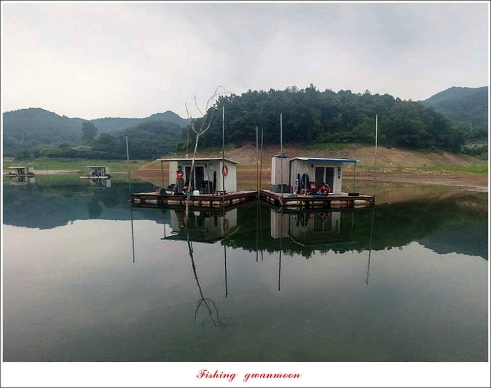 청풍 신리돌감 좌대 월척 조황 추평지 소식 (조황조행기 - 특파원조황)
