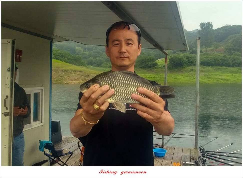 신매 435 cm 혹부리 대물돌감좌대 월척 조황 (조황조행기 - 특파원조황)