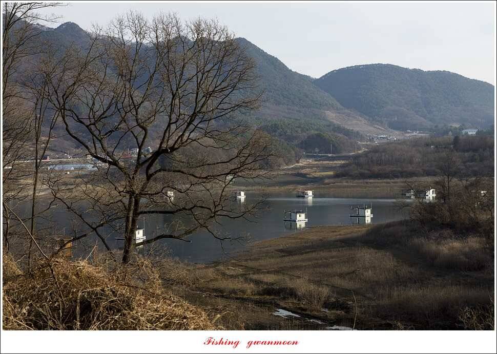 화곡지 사짜 및 마릿수 월척 조황 (조황조행기 - 특파원조황)