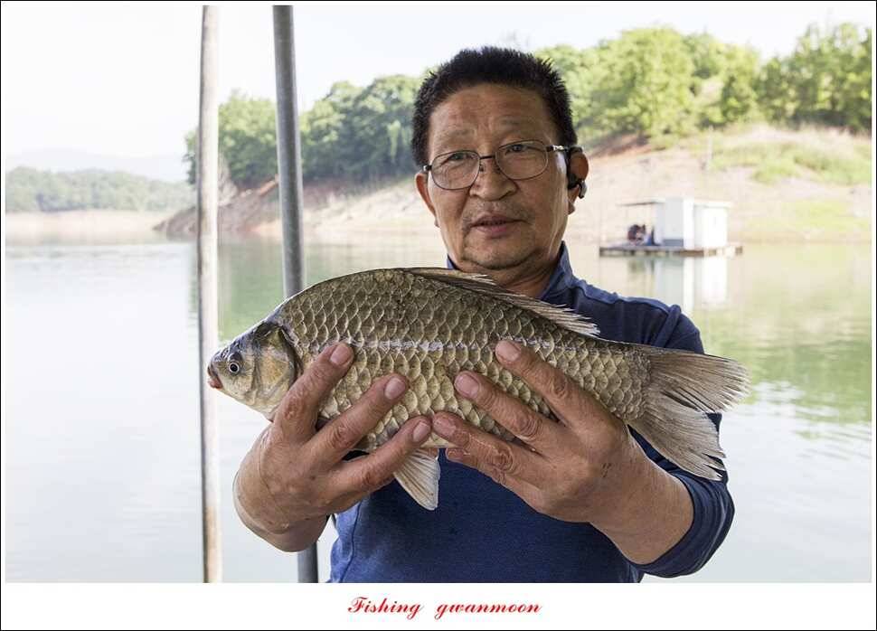 돌감 40 cm40 cm신리 42 cm 화곡지 사짜 조황 (조황조행기 - 특파원조황)