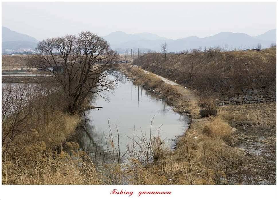 충주괴산권 물낚시 (조황조행기 - 특파원조황)