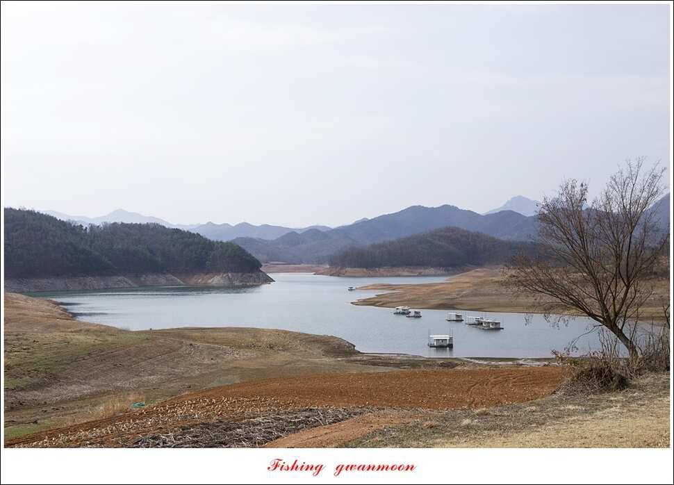 충주호 첫 붕어달천강 월척 (조황조행기 - 특파원조황)