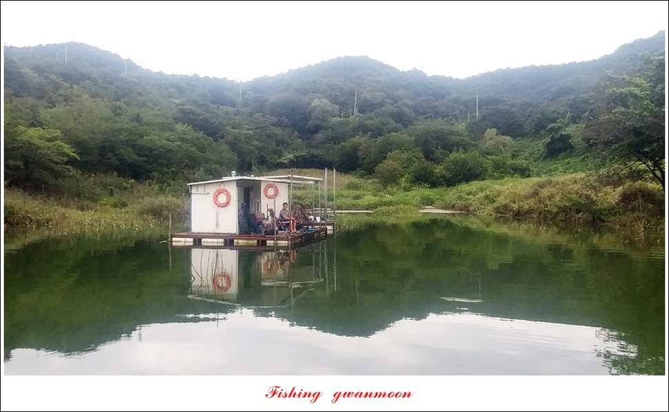 매전지화곡지돌감실리곡한버들 조황 (조황조행기 - 특파원조황)