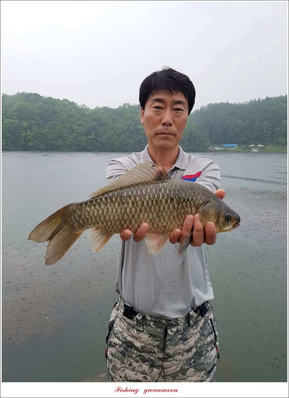 화곡지 사짜돌감 월척 (조황조행기 - 특파원조황)