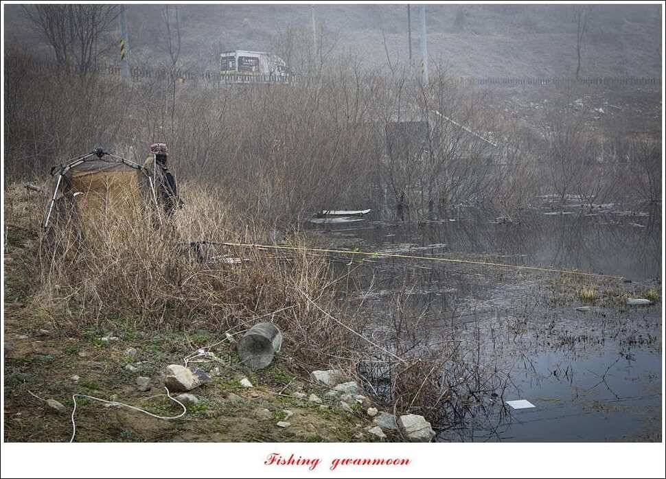 충주괴산권 조황 (조황조행기 - 특파원조황)