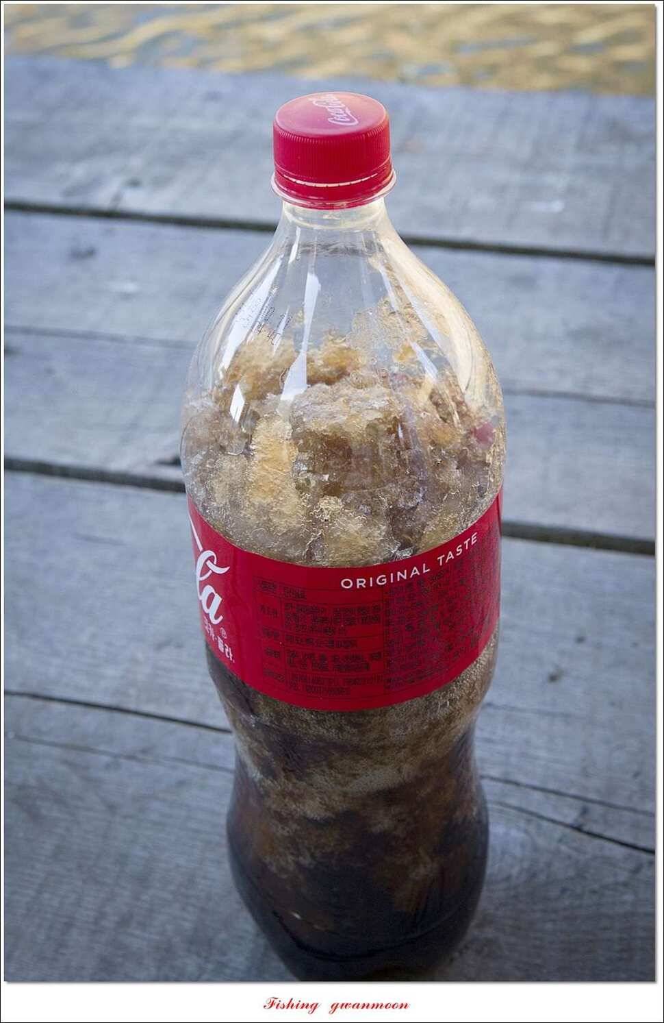 실리곡한버들 월척 및 대형 잉어 조황 (조황조행기 - 특파원조황)