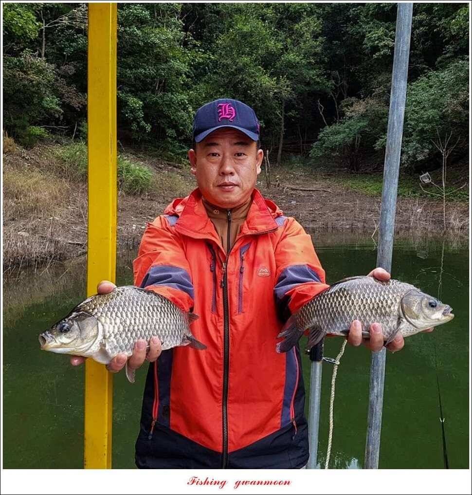 돌감 42cm한버들늘푸른병호달천강 월척 조황 (조황조행기 - 특파원조황)