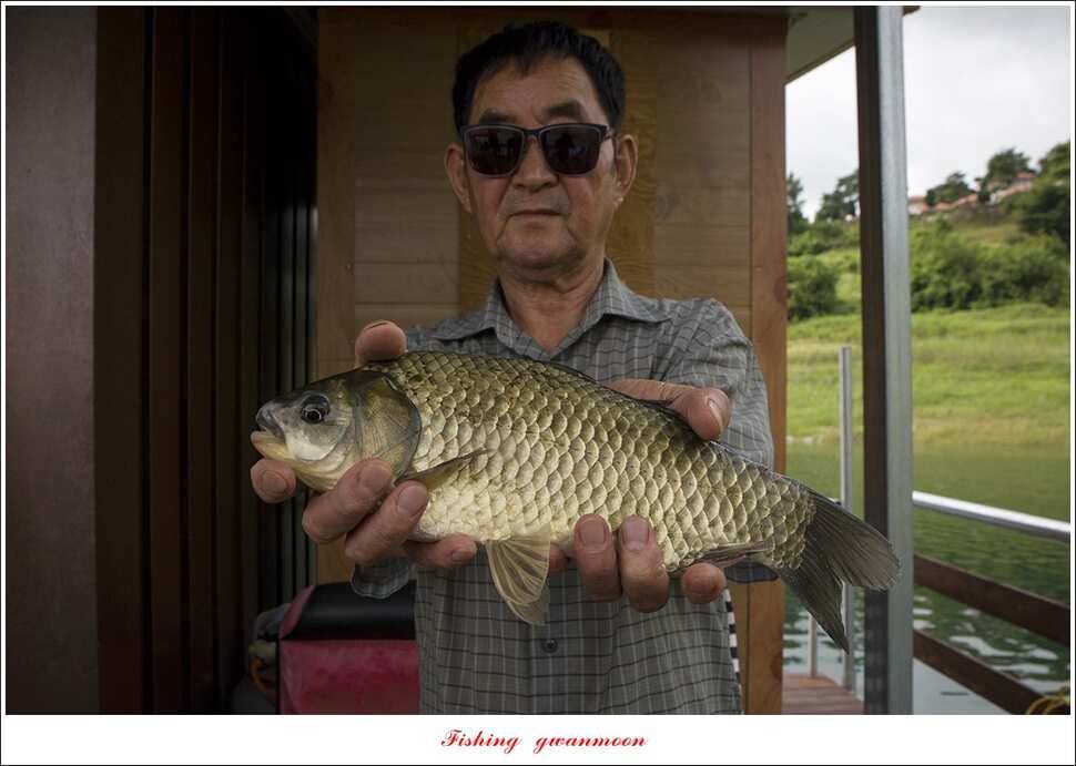 신매 43 cm42 cm 대물돌감좌대 월척 조황 (조황조행기 - 특파원조황)