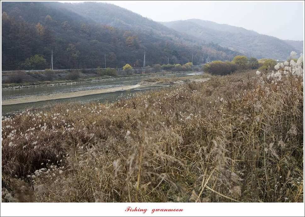 칠성지 사짜 및 월척 조황 (조황조행기 - 특파원조황)
