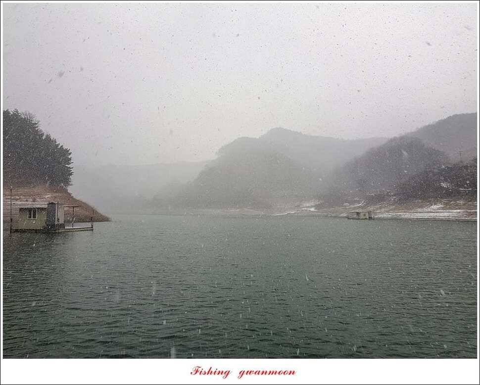 실리곡 마릿수 월척 조황 (조황조행기 - 특파원조황)