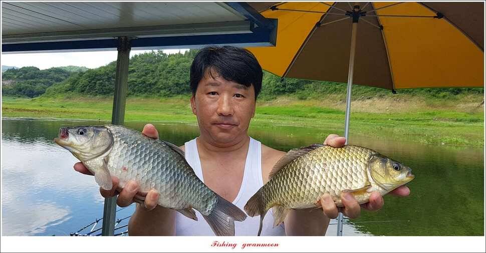 신매 405 cm서유석 장어돌감실리곡신리 월척 조황 (조황조행기 - 특파원조황)