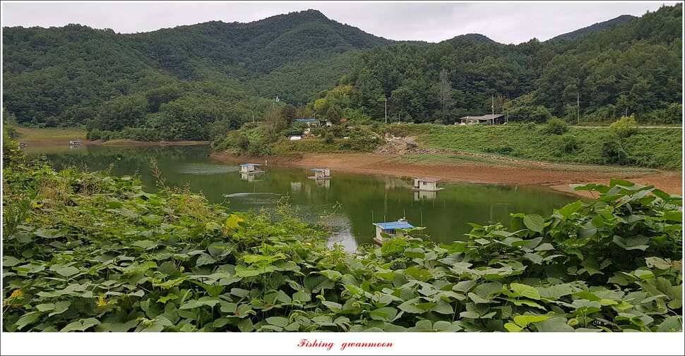 병호돌감실리곡신리칠성지매전지 조황 (조황조행기 - 특파원조황)