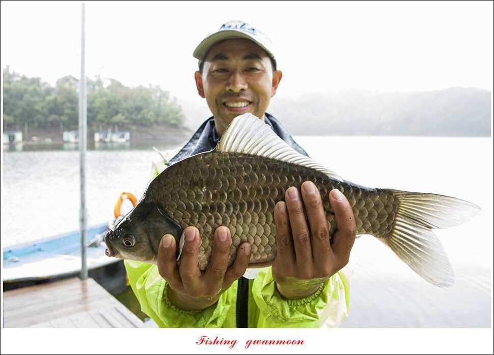 윤 낚시터 41 cm 늘푸른 16 kg 장어실리곡 37 cm한버들 월척 조황 (조황조행기 - 특파원조황)