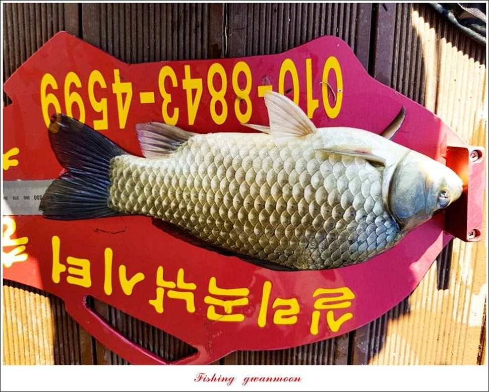 칠성지 43 cm화곡지한버들실리곡 조황 (조황조행기 - 특파원조황)