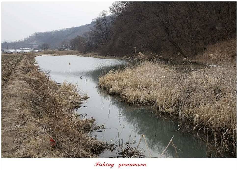 충주괴산권 물낚시 (조황조행기 - 특파원조황)