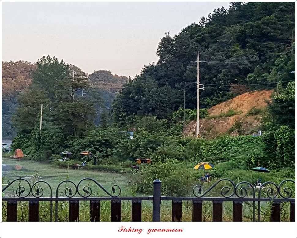 화곡지 사짜실리곡 월척 및 마릿수 조황 (조황조행기 - 특파원조황)
