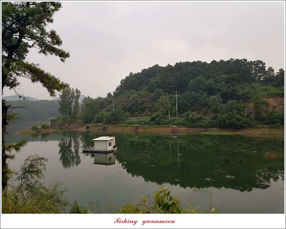 돌감서유석신리실리곡화곡지 조황 (조황조행기 - 특파원조황)