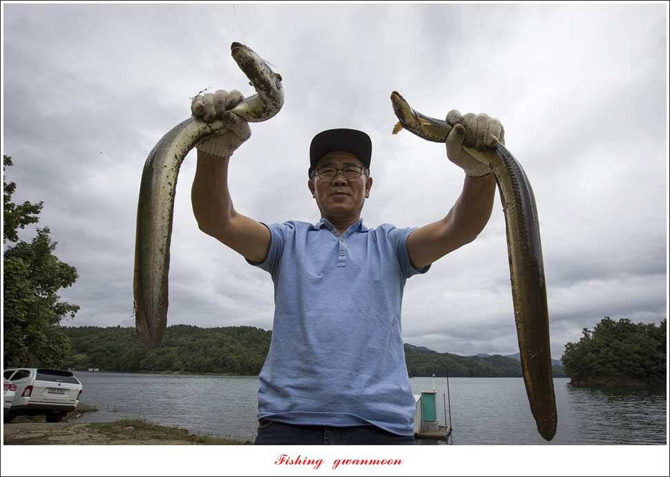 병호돌감실리곡신리칠성지매전지 조황 (조황조행기 - 특파원조황)