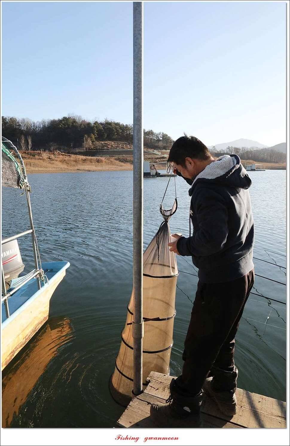 실리곡한버들 월척 및 대형 잉어 조황 (조황조행기 - 특파원조황)