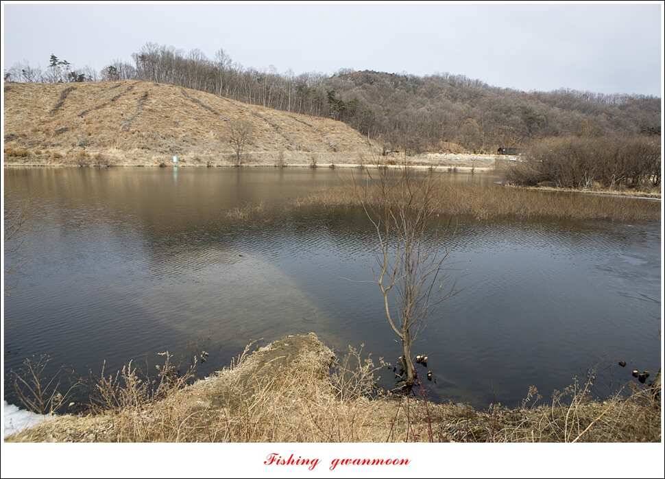 충주괴산권 물낚시 (조황조행기 - 특파원조황)