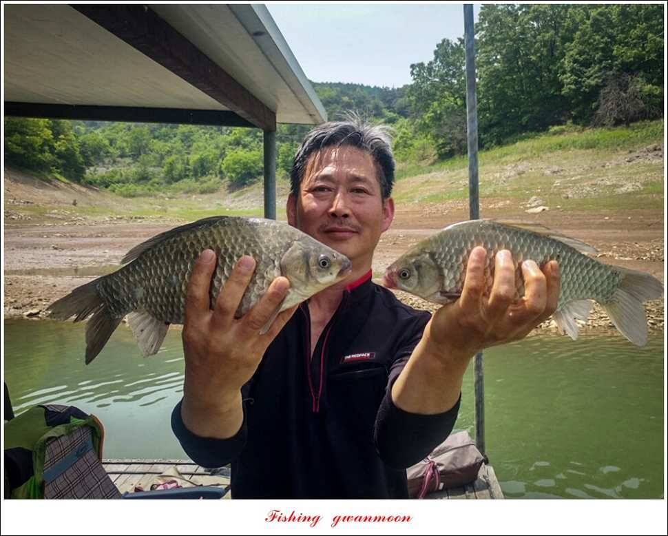 화곡지 사짜돌감 월척 (조황조행기 - 특파원조황)