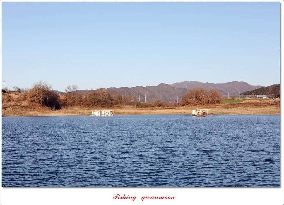 실리곡한버들 월척 및 대형 잉어 조황 (조황조행기 - 특파원조황)