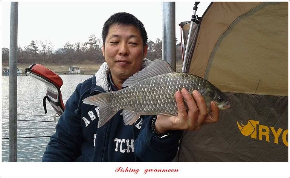돌감한버들실리곡제일 월척 조황 (조황조행기 - 특파원조황)