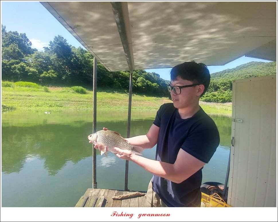 신매 42 cm돌감신리실리곡제일화곡지 조황 (조황조행기 - 특파원조황)