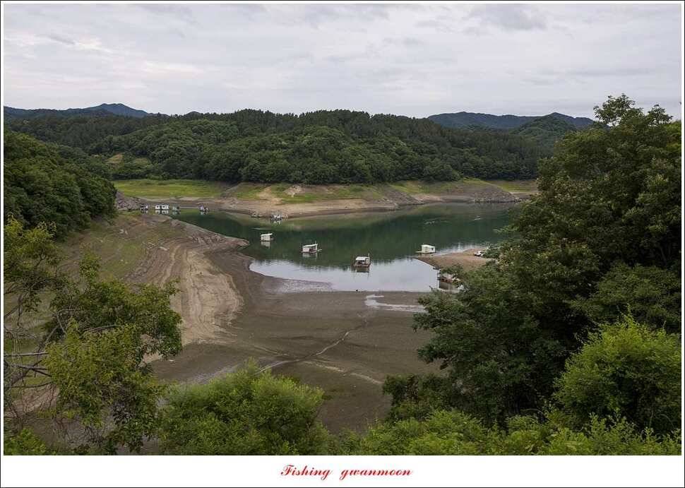 병호 45cm실리곡신리노지 월척 조황 (조황조행기 - 특파원조황)