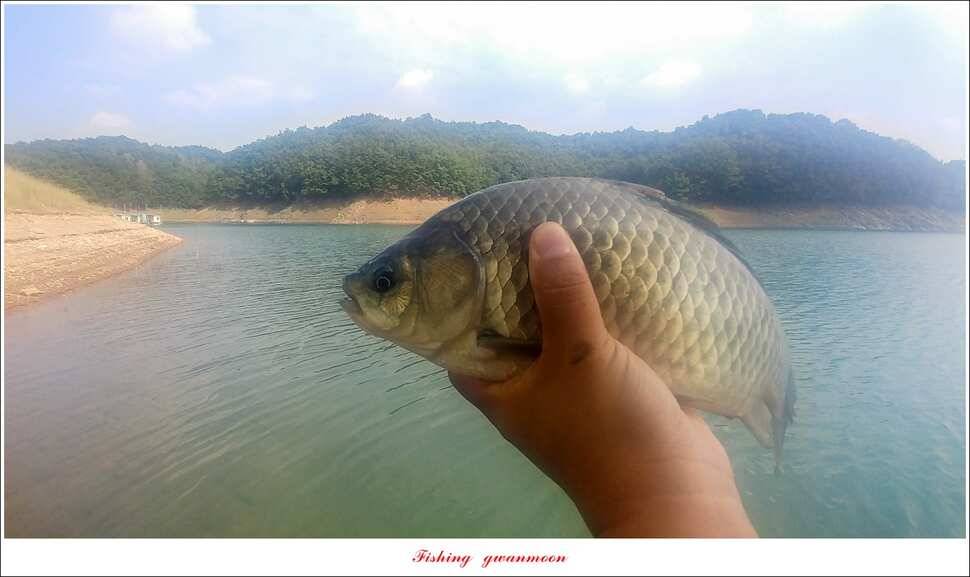 pro_johwang_27116_123828_82446.jpg