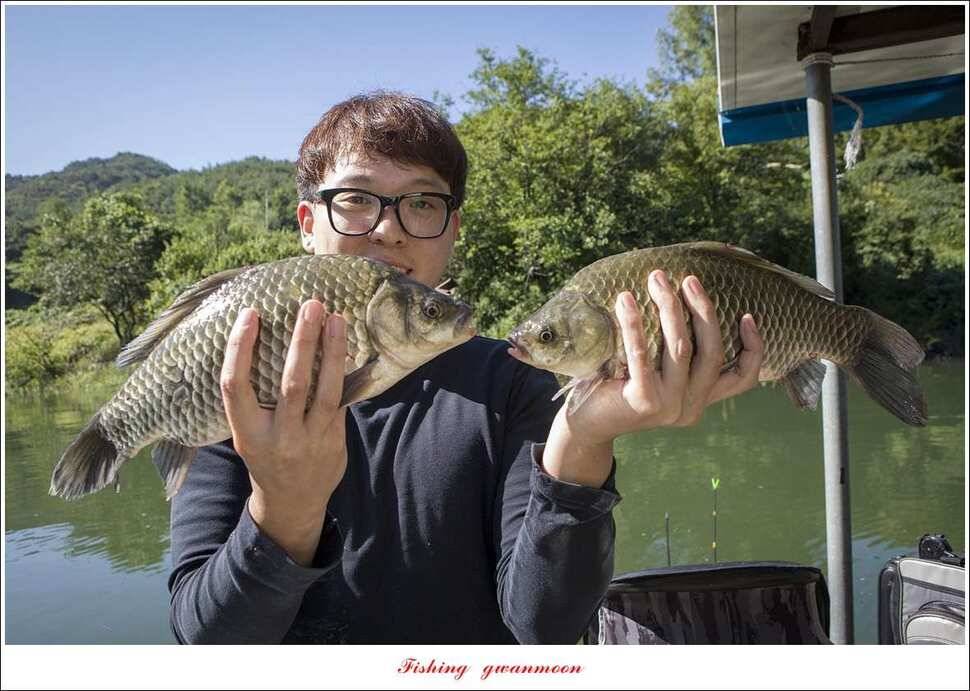 돌감 마릿수 월척실리곡 마릿수 월척칠성지소이지 월척 조황 (조황조행기 - 특파원조황)