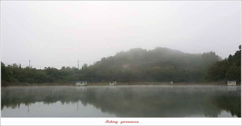 청풍신리실리곡제일 조황 (조황조행기 - 특파원조황)