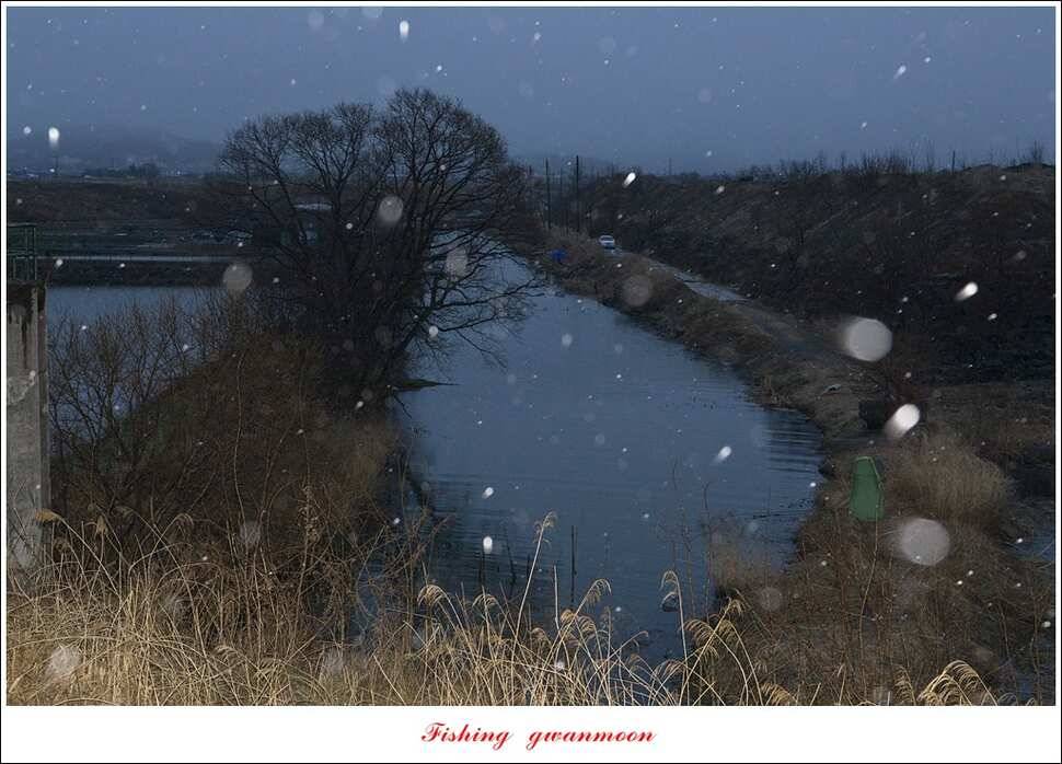 충주괴산권 조황 (조황조행기 - 특파원조황)