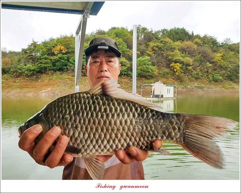 윤 낚시터 41 cm 늘푸른 16 kg 장어실리곡 37 cm한버들 월척 조황 (조황조행기 - 특파원조황)