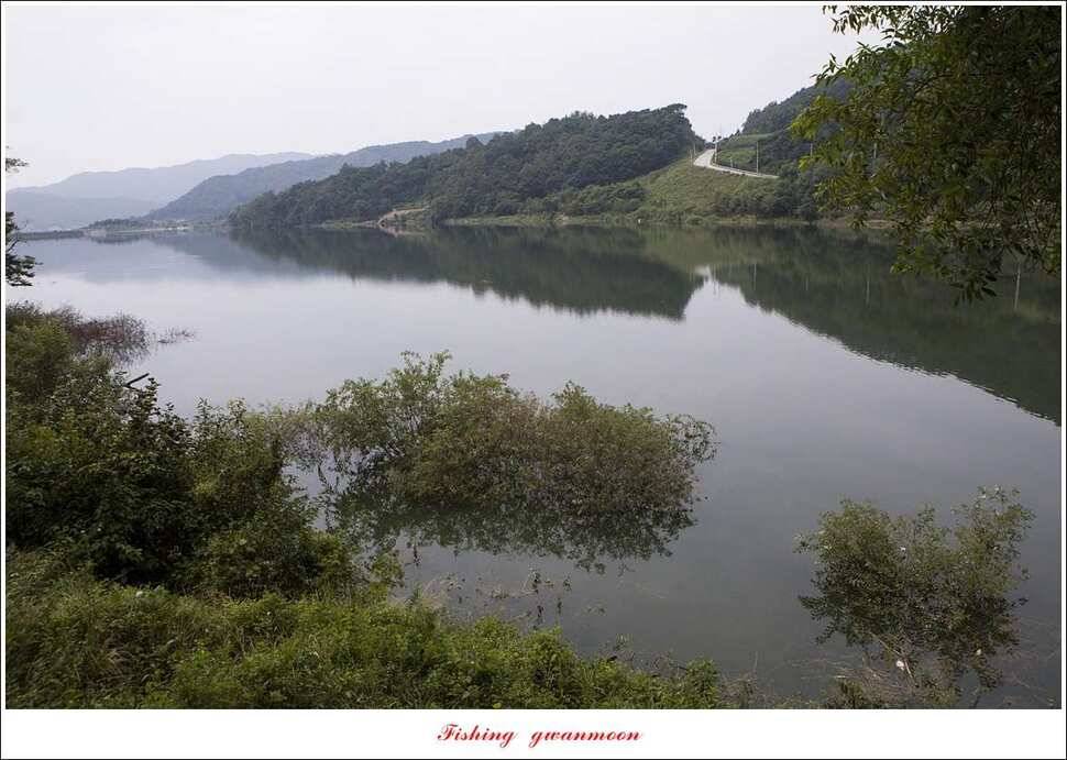 청풍 신리 39 cm실리곡 월척 조황 (조황조행기 - 특파원조황)