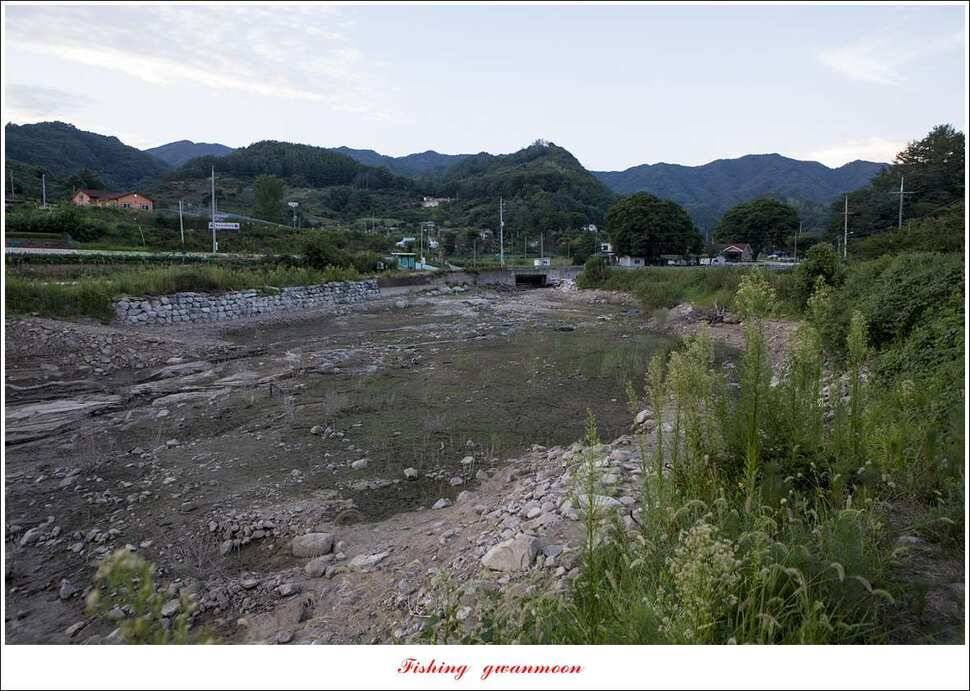 청풍 신리 월척 및 마릿수 조황돌감좌대 육초 작업 (조황조행기 - 특파원조황)