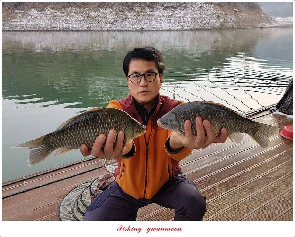 실리곡 마릿수 월척 조황 (조황조행기 - 특파원조황)