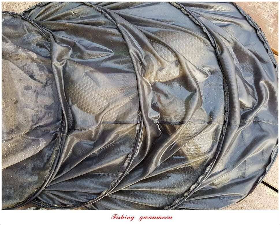 화곡지한버들돌감실리곡신매 조황 (조황조행기 - 특파원조황)