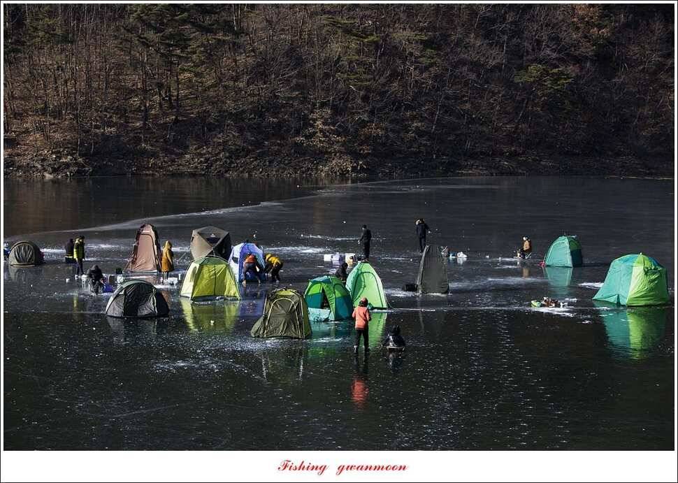 충주호 물낚시와 빙어 낚시 조황 (조황조행기 - 특파원조황)
