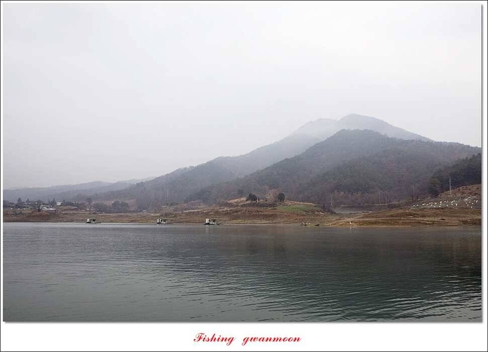 한버들 사짜 및 월척 조황 (조황조행기 - 특파원조황)
