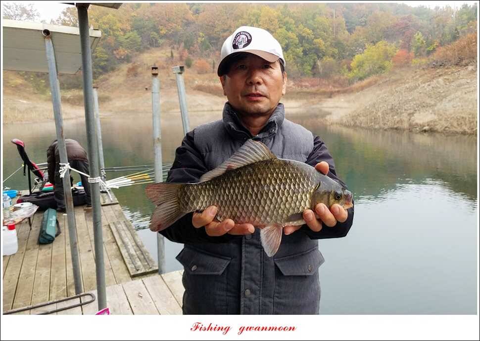 신매 42 cm 돌감 허리급한버들실리곡달천강 월척 조황 (조황조행기 - 특파원조황)