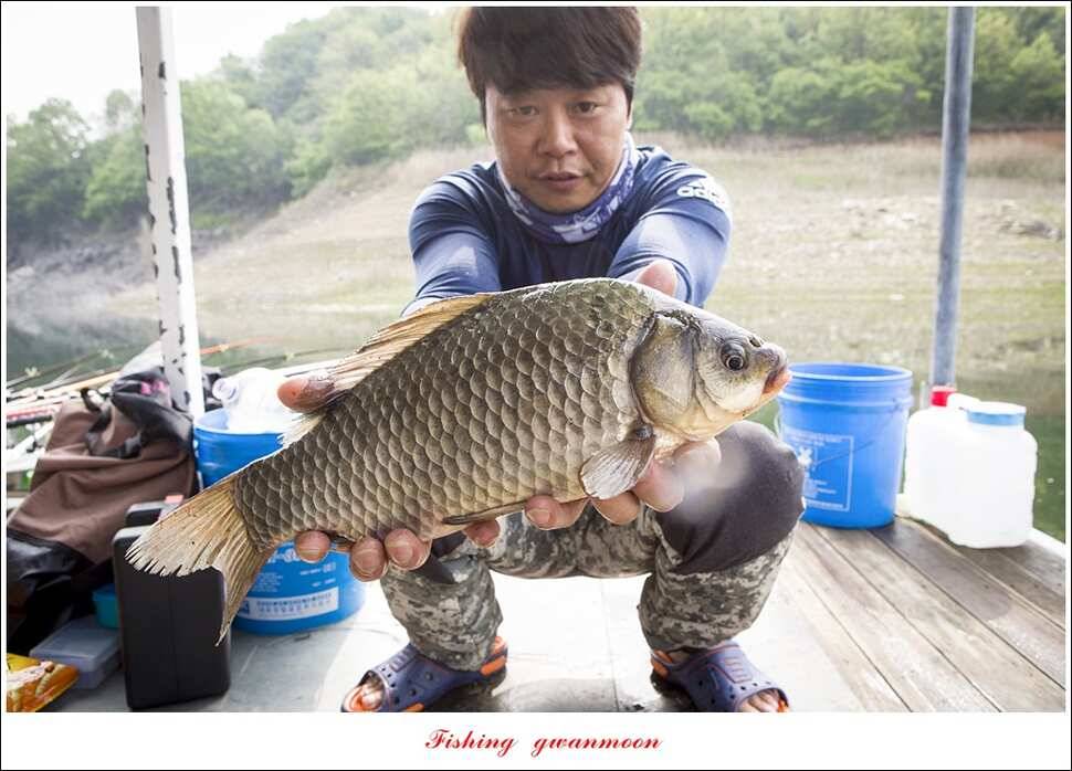 충주호 사짜 대박칠성지 사짜 (조황조행기 - 특파원조황)