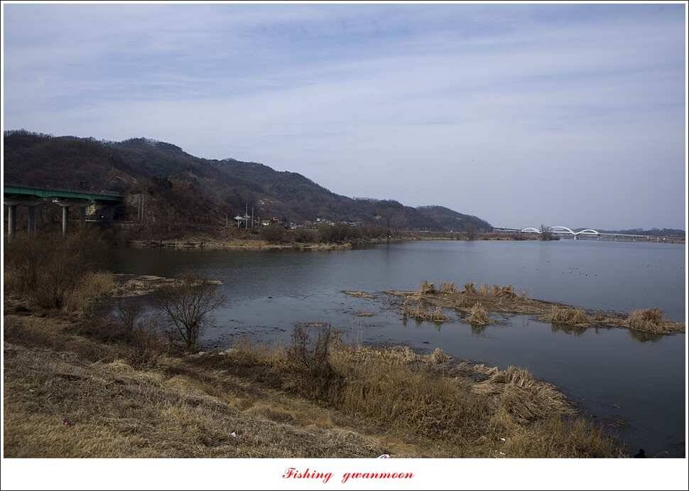 화곡지 사짜 및 마릿수 월척 칠성지 조황 (조황조행기 - 특파원조황)