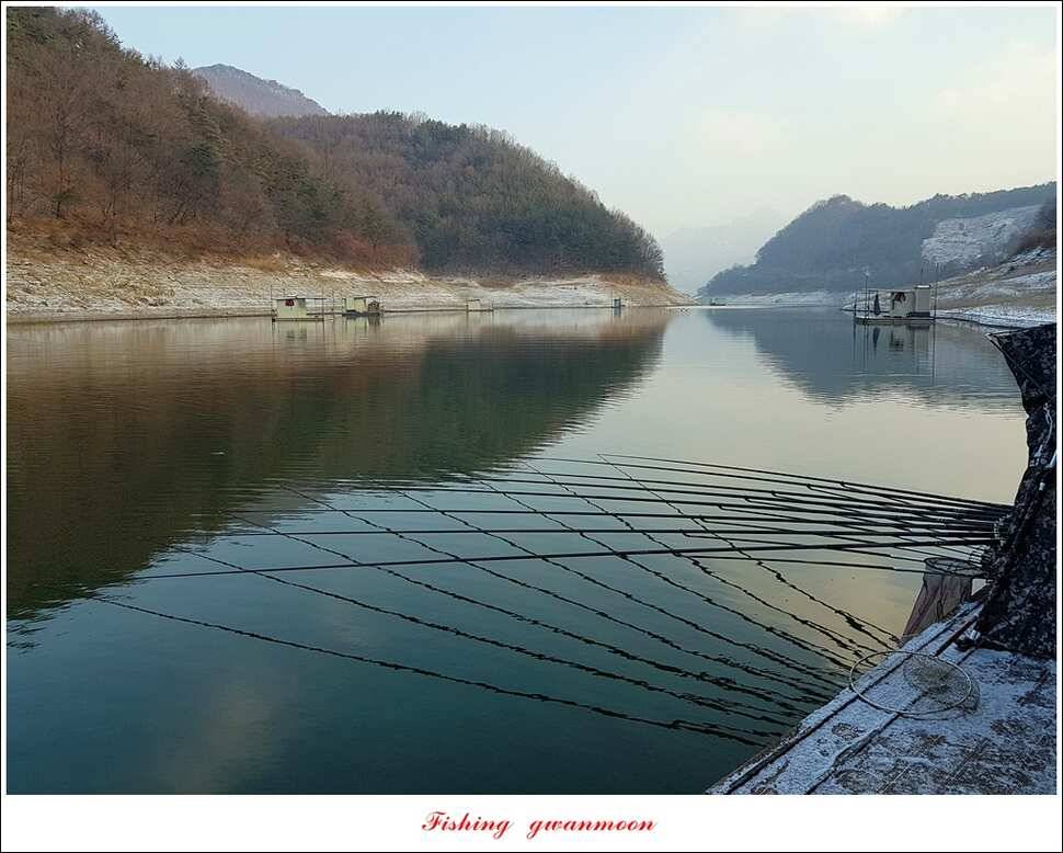 제일 마릿수 월척실리곡 월척 조황 (조황조행기 - 특파원조황)