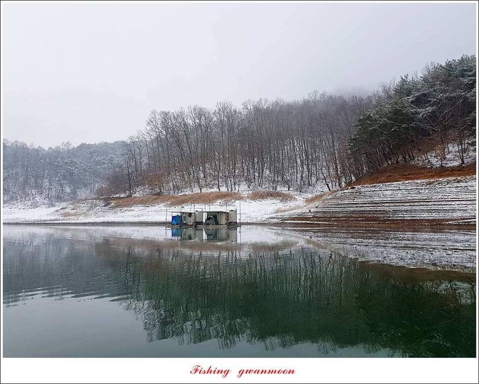 실리곡 월척 조황 (조황조행기 - 특파원조황)