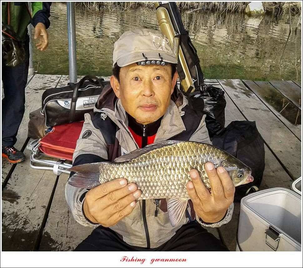 한버들 허리급실리곡 월척 및 마릿수 조황 (조황조행기 - 특파원조황)