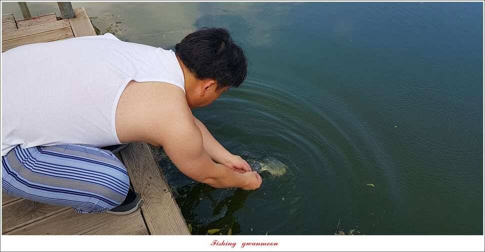 신매 405 cm서유석 장어돌감실리곡신리 월척 조황 (조황조행기 - 특파원조황)